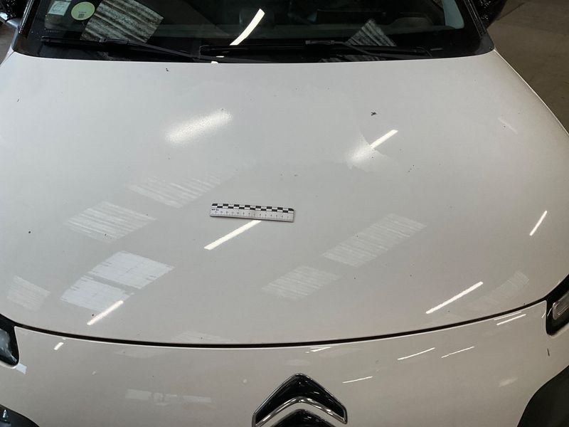 Citroen C4 Cactus 1.6 Blue-HDi Shine 2018 – снимка 28