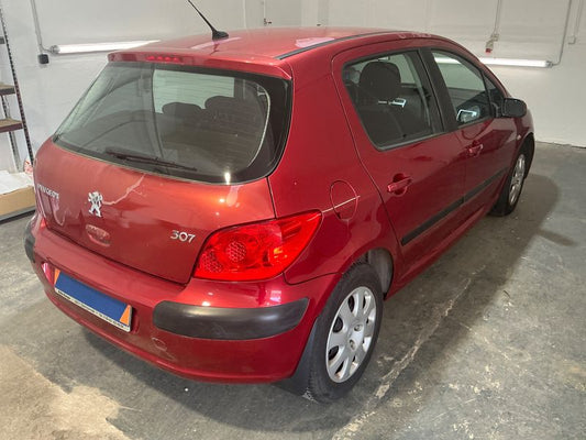 Peugeot 307 1.6 Grand Filou Cool 2005 – снимка 2