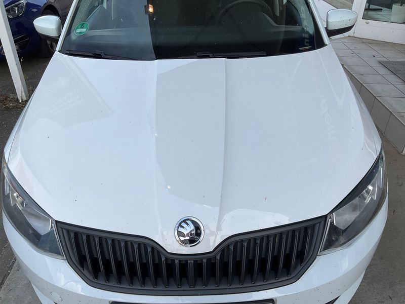 Skoda Fabia 1.4 TDI Cool Plus 2017 – снимка 37