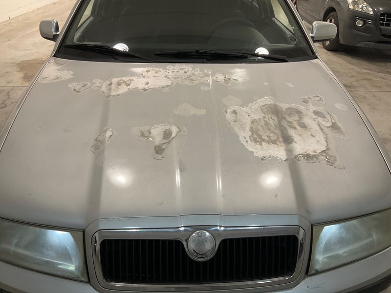 Skoda Octavia 1.9 TDI Elegance 2001 – снимка 11