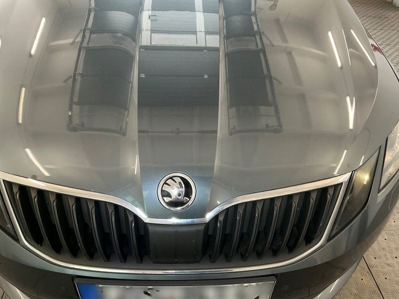 Skoda Octavia 2.0 TDI Ambition 2018 – снимка 32