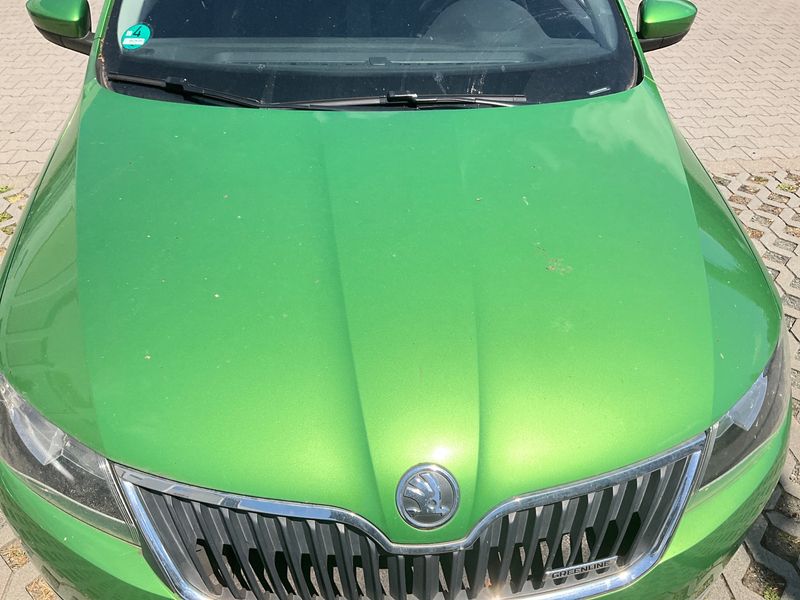 Skoda Rapid Spaceback 1.6 TDI GreenLine 2014 – снимка 44
