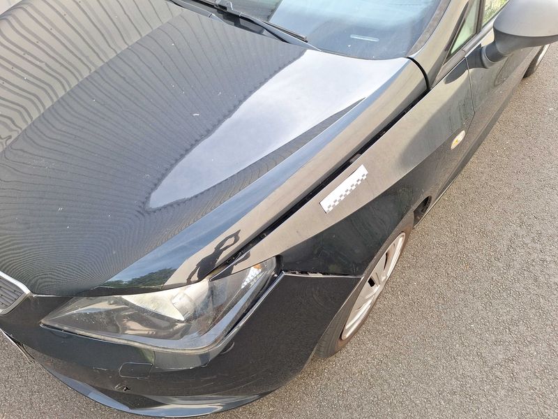 Seat Ibiza 1.4 Reference Viva 2012 – снимка 94