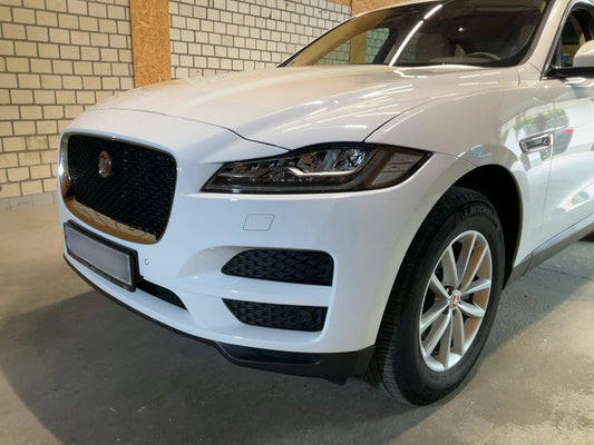 Jaguar F-Pace 25t Portfolio AWD 2019 – снимка 2