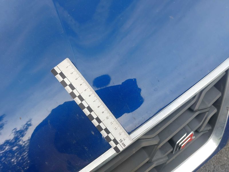 Seat Ibiza 1.0 TSI FR 2021 – снимка 33