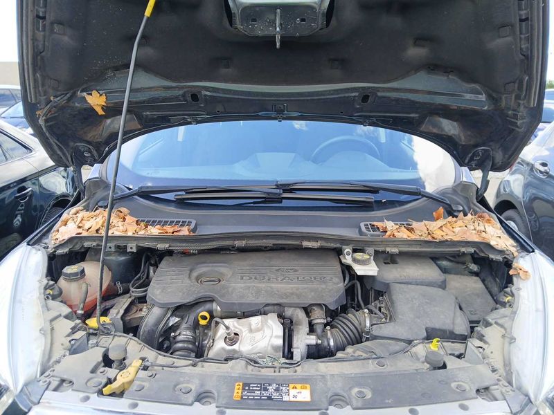 Ford Kuga 1.5 TDCi Cool&Connect 2018 – снимка 8