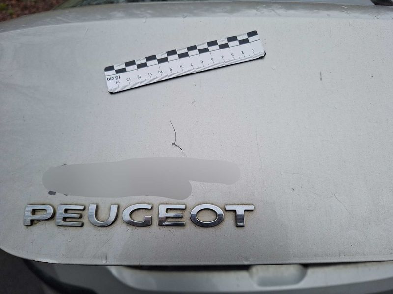 Peugeot 308 1.6 HDi Confort Pack 2008 – снимка 123