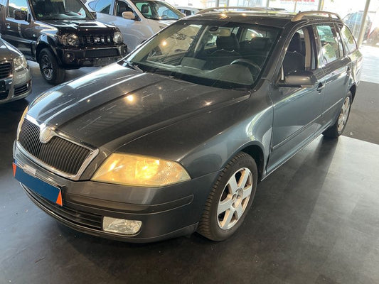 Skoda Octavia 1.9 TDI Elegance 2006 – снимка 1
