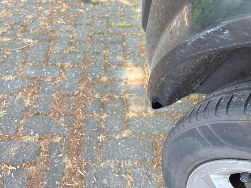 Renault Scenic 1.6 Exception 2009 2009 – снимка 41