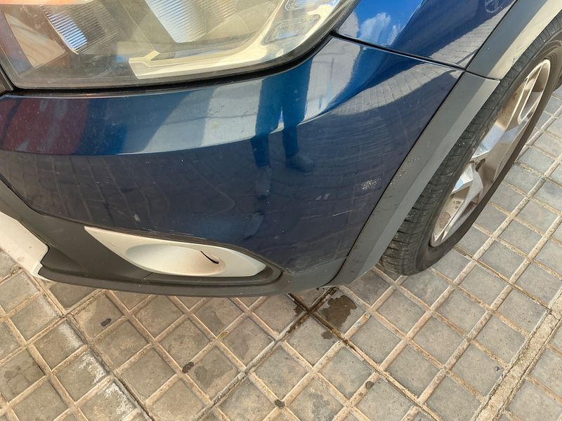 Dacia Sandero 1.5 dCi Stepway 2017 – снимка 28