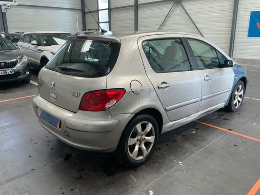 Peugeot 307 1.6 Executive Pack 2006 – снимка 2