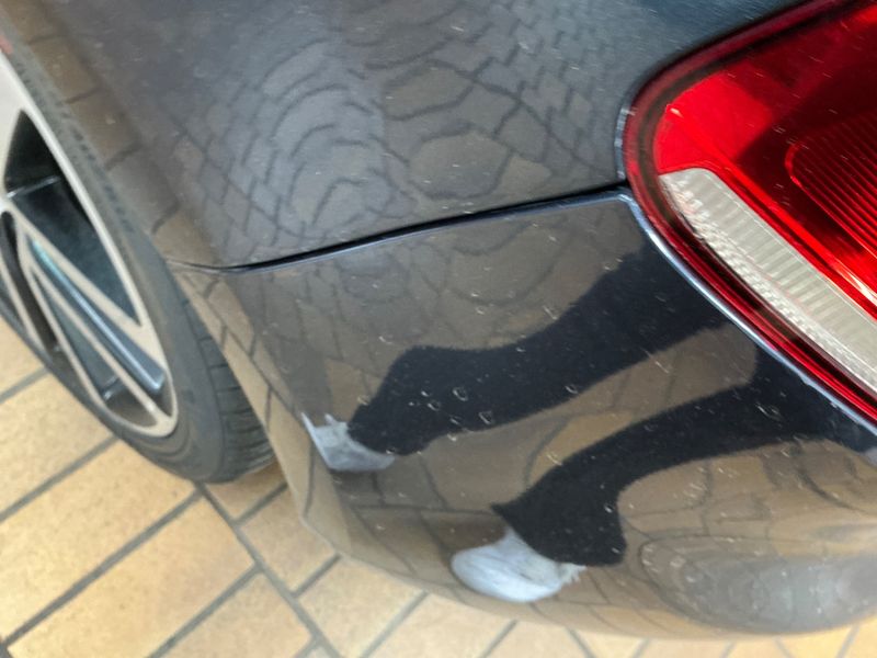 Volkswagen Golf VI 2.0 TDI Highline 4Motion 2011 – снимка 64