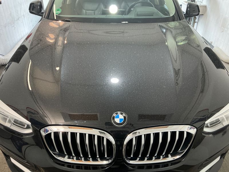BMW X4 xDrive 30d Mild-Hybrid xLine 2020 – снимка 29