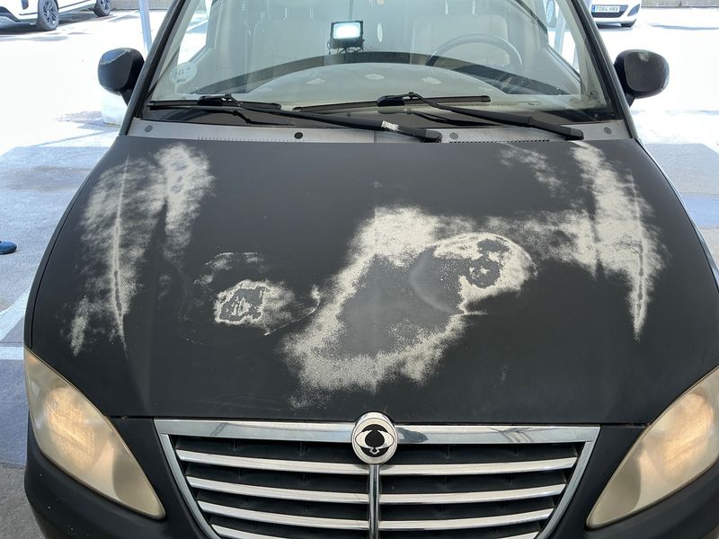 Ssangyong Rodius 270 Xdi 2010 – снимка 41