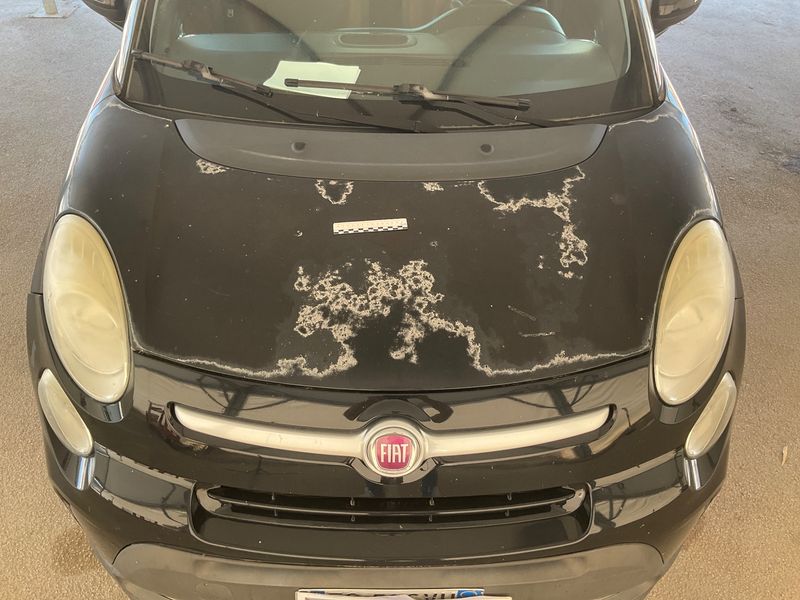 Fiat 500L 1.3 JTD Trekking 2013 – снимка 46