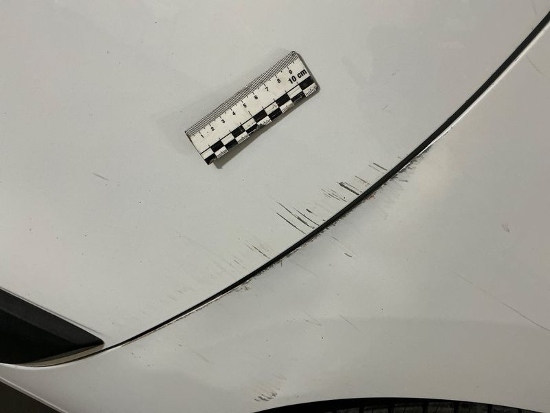 Dacia Lodgy 1.6 SCe Silver Line 2017 – снимка 23
