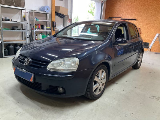 Volkswagen Golf V 1.9 TDI United BlueMotion Tech 2008