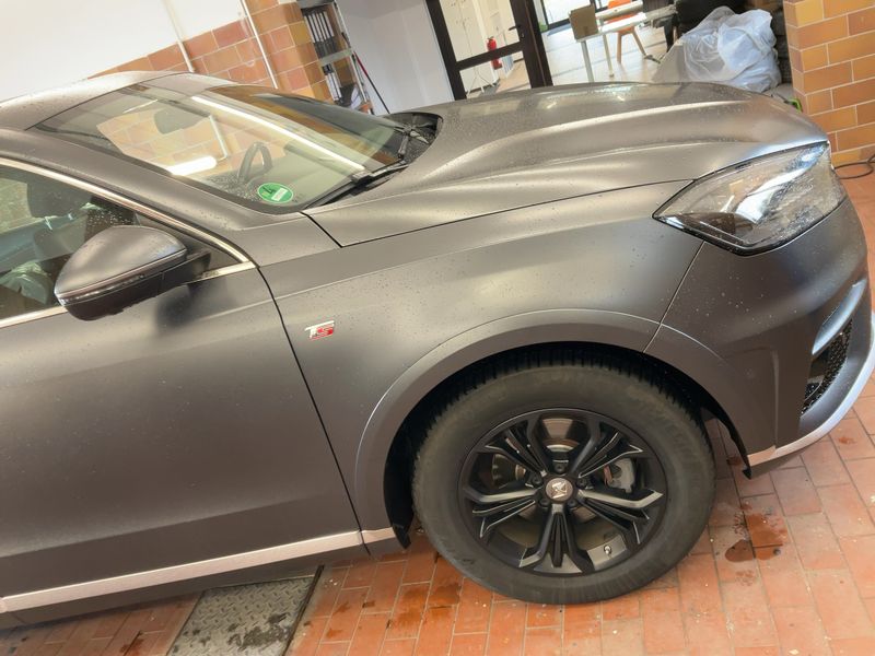Borgward BX7 2.0 TGDI TS Limited Edition 2018 – снимка 12