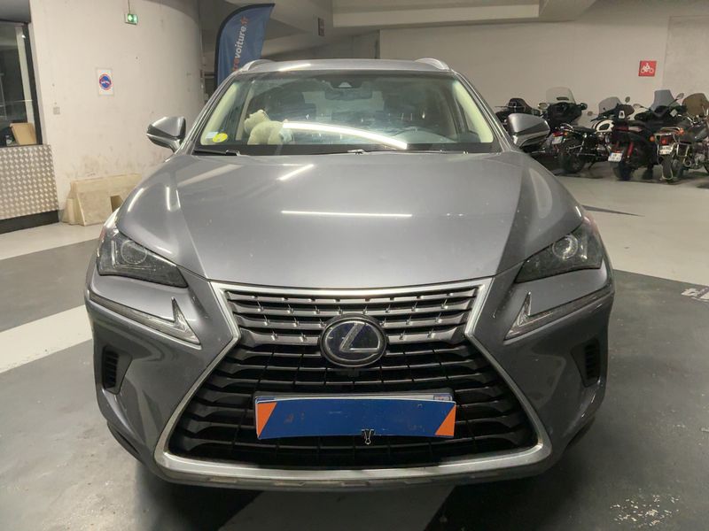 Lexus NX-Serie NX 300h E-Four Pack 2019 – снимка 14