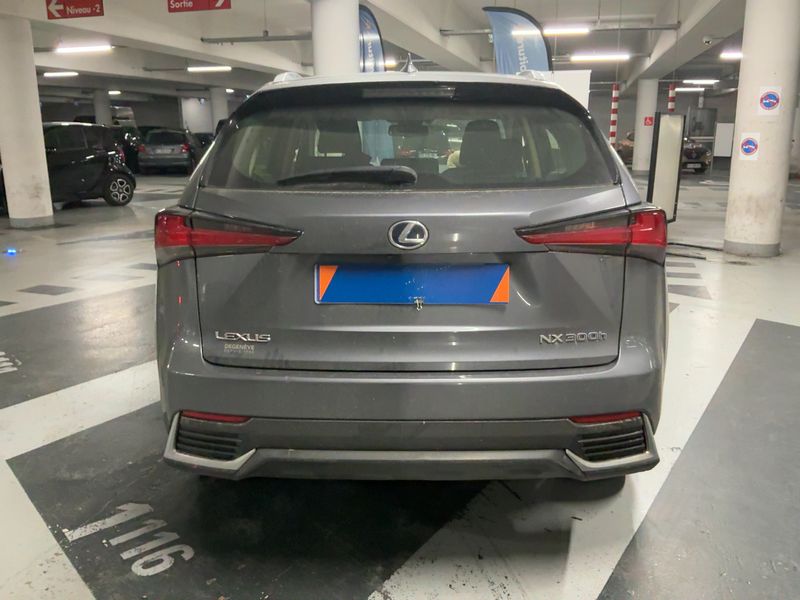 Lexus NX-Serie NX 300h E-Four Pack 2019 – снимка 7