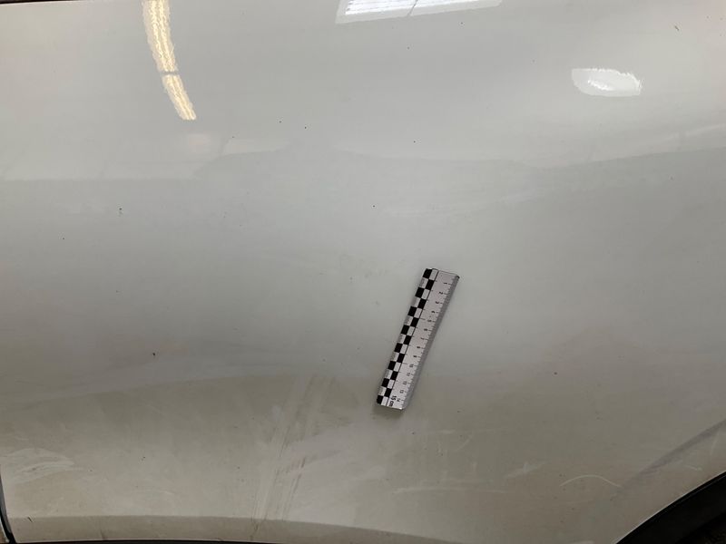 Renault Kadjar 1.5 BLUE dCi Business 2019 – снимка 26