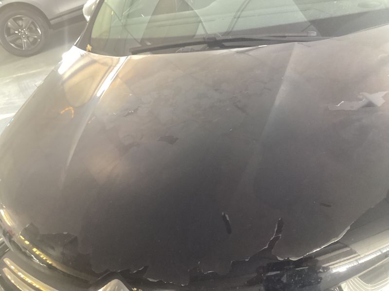 Citroen C4 1.6 Blue-HDi Feel Edition 2015 – снимка 32