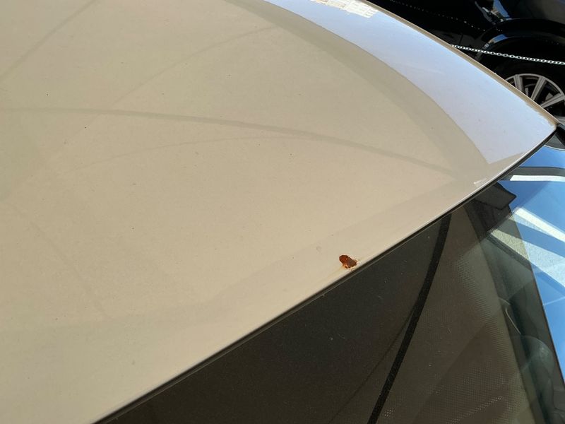 Seat Ibiza 1.2 TDI Reference 2010 – снимка 29