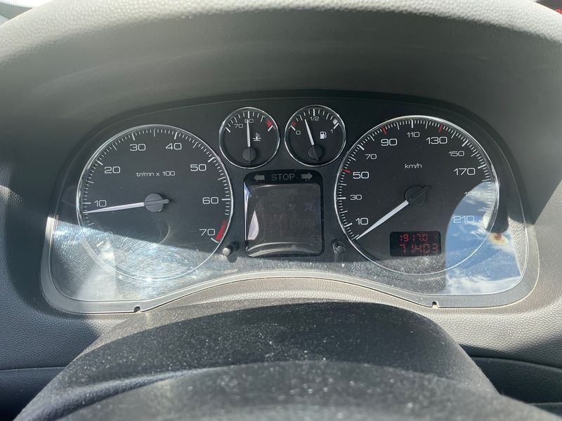 Peugeot 307 1.6 Grand Filou Cool 2005 – снимка 4