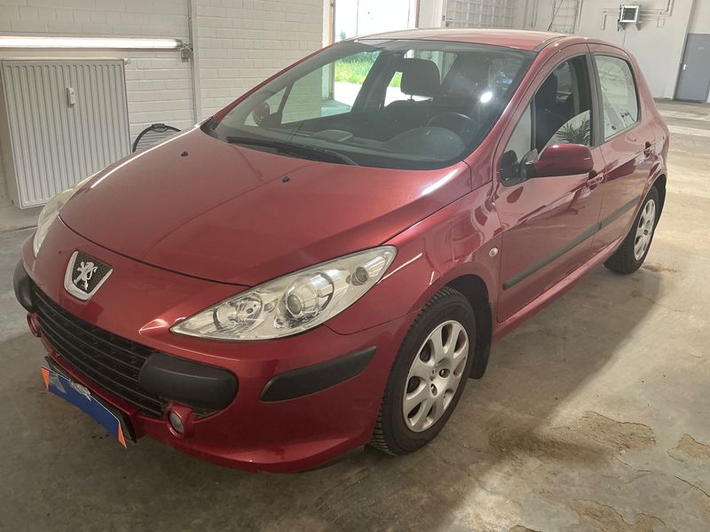 Peugeot 307 1.6 Grand Filou Cool 2005 – снимка 1