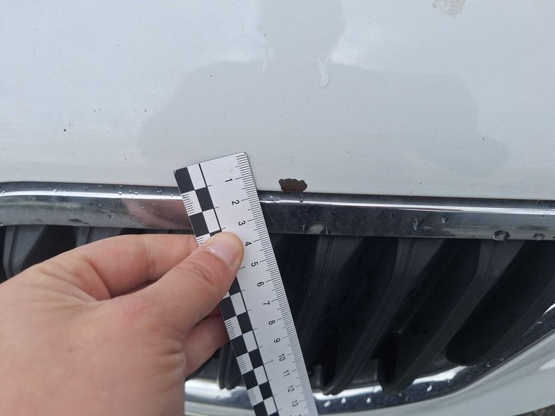 Skoda Octavia 1.6 TDI Business Plus 2014 – снимка 43