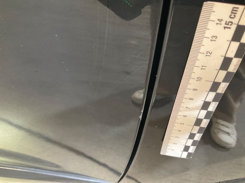 Renault Megane 1.5 dCi BOSE Edition 2014 – снимка 23