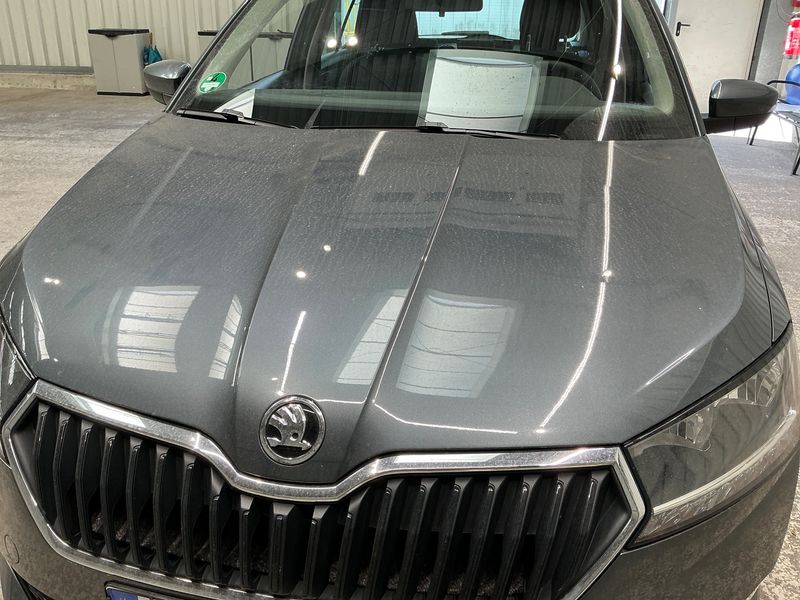 Skoda Fabia 1.0 TSI Cool Plus 2020 – снимка 54