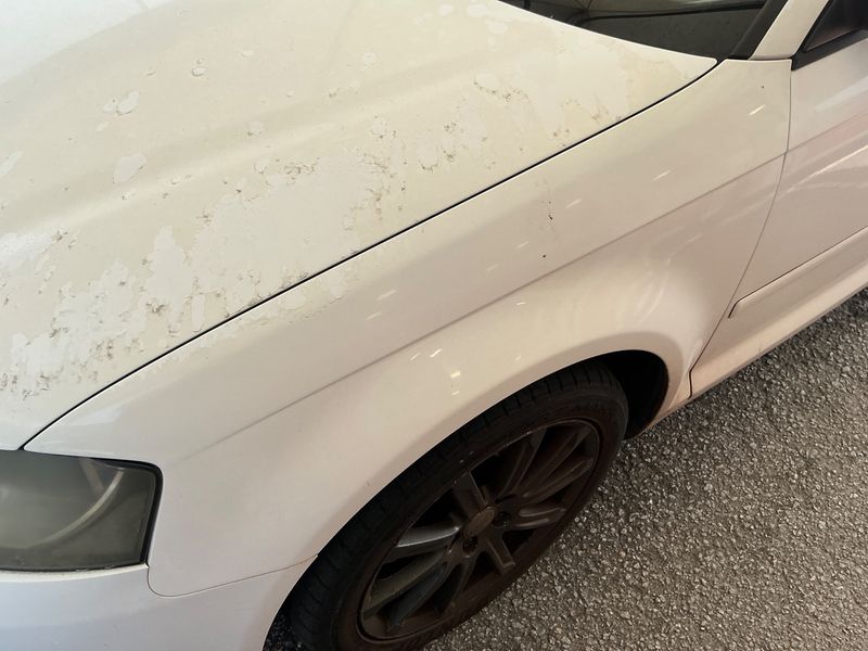 Audi A3 1.6 TDI Attraction 2010 – снимка 33