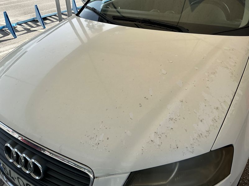 Audi A3 1.6 TDI Attraction 2010 – снимка 39