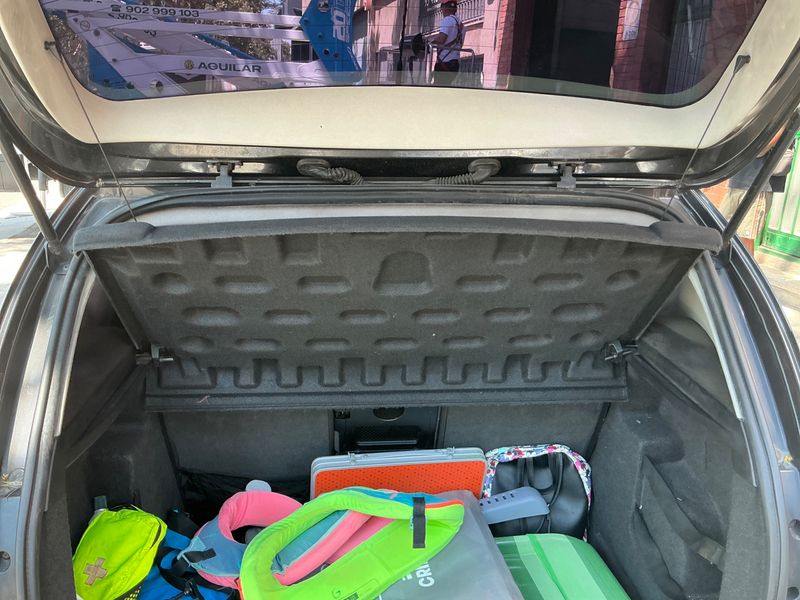 Seat Altea 1.9 TDI Green 2007 – снимка на щета