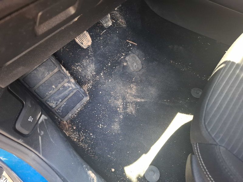 Ford Focus 1.5 EcoBlue TDCi Titanium 2019 – снимка 36