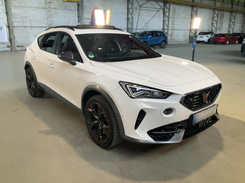 Cupra Formentor 2.0 TSI VZ 4Drive 2022 – снимка 12