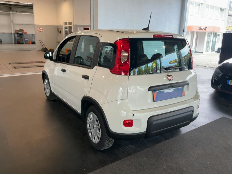 Fiat Panda 1.0 Mild-Hybrid Pandina Cross 2024 – снимка 6