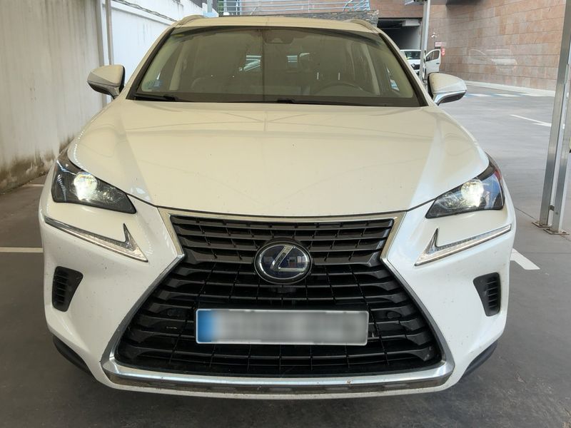 Lexus NX-Serie NX 300h E-Four Executive Line 2018 – снимка 14