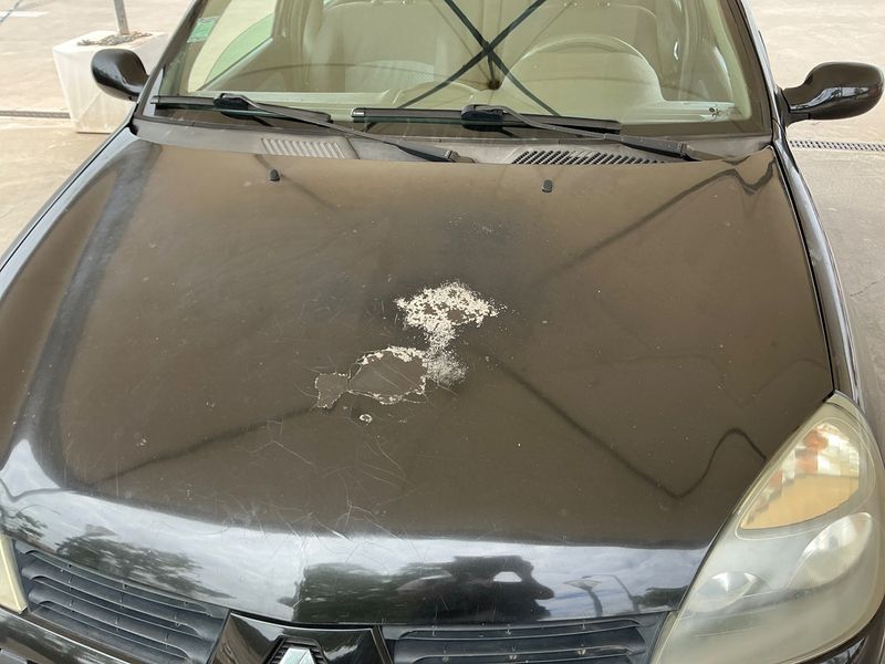 Renault Clio 1.5 dCi Tech-Run 2005 – снимка 43