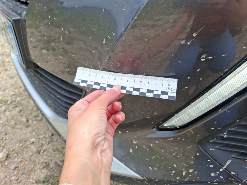 Peugeot 2008 1.2 PureTech Allure 2020 – снимка 98