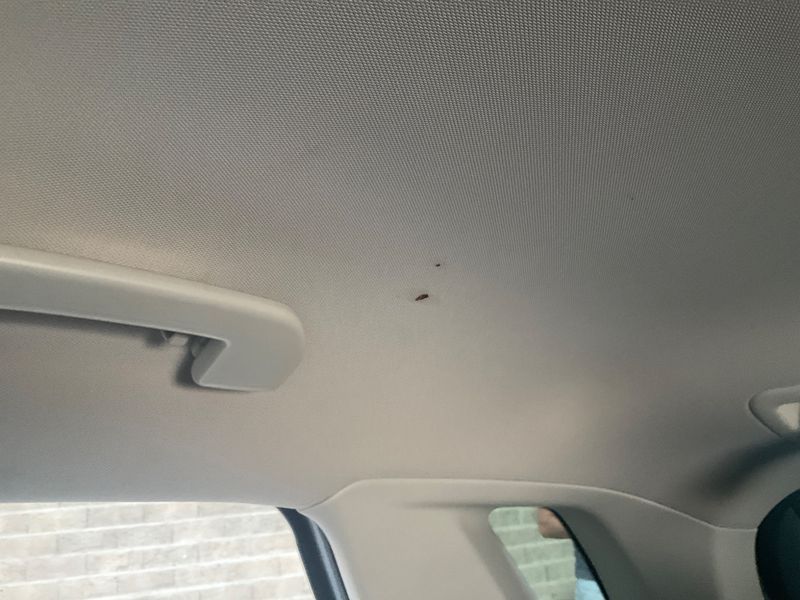Citroen C4 Picasso 1.6 Blue-HDi Feel 2017 – снимка 23