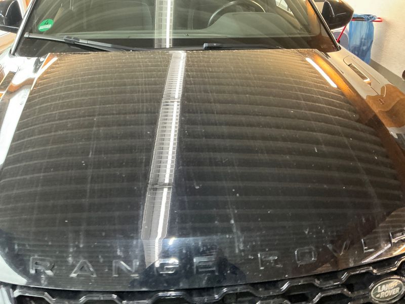 Land Rover Evoque D150 Mild-Hybrid R-dynamic 2019 – снимка 37