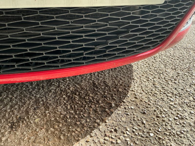 Seat Ibiza 1.6 TDI Sport 2010 – снимка 28