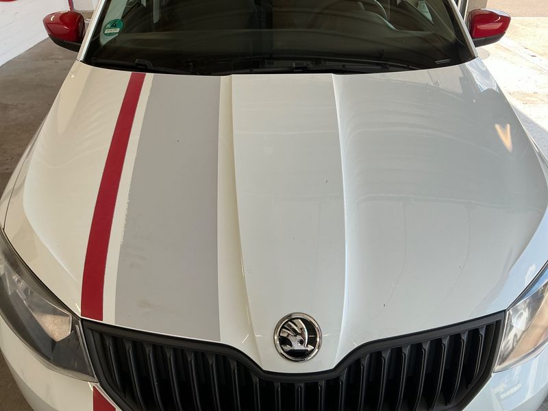 Skoda Fabia 1.4 TDI Red & Grey 2016 – снимка 29