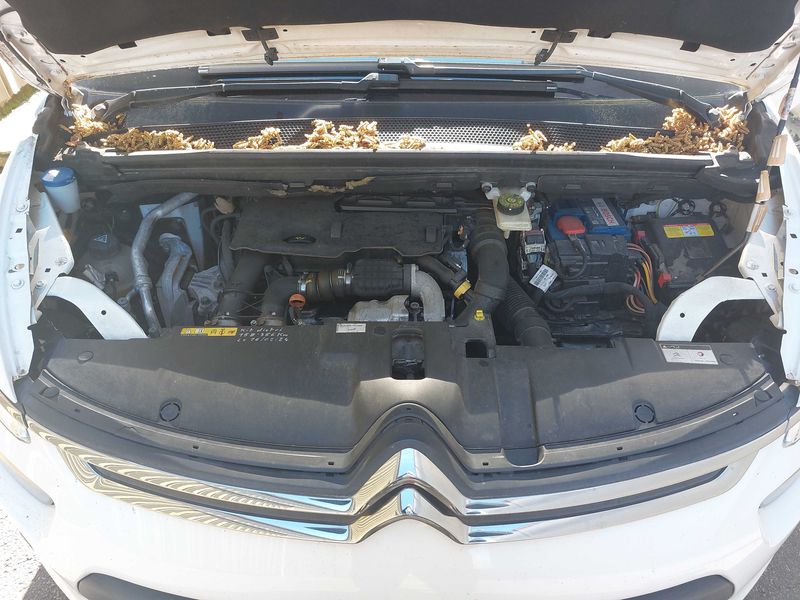 Citroen C4 Picasso 1.6 e-HDi Intensive 2013 – снимка 8