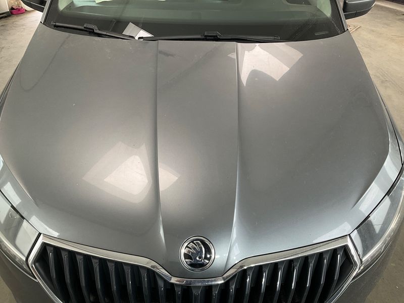 Skoda Fabia 1.0 TSI Ambition SC 2022 – снимка 46