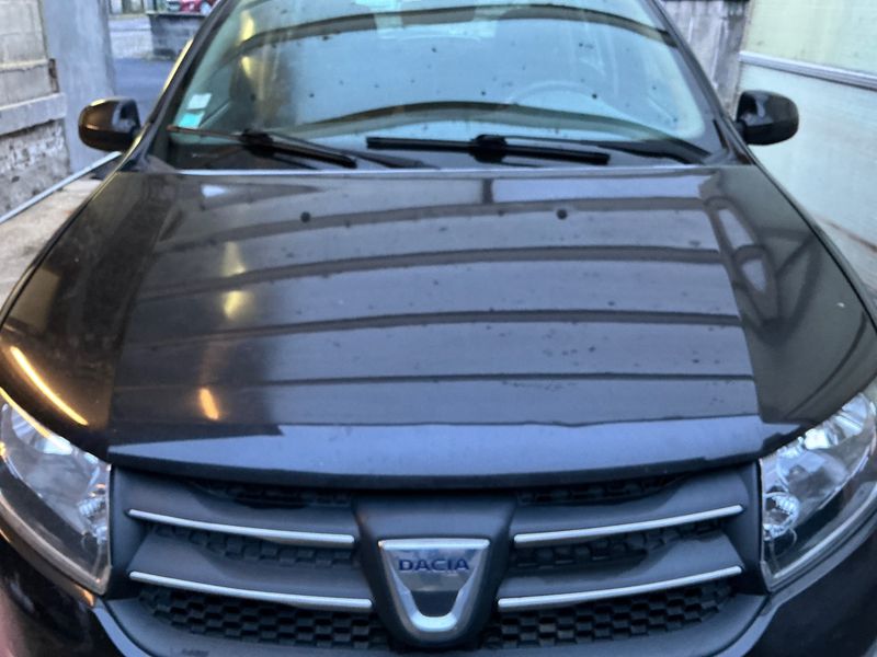 Dacia Sandero 1.5 dCi Stepway Prestige 2013 – снимка 38