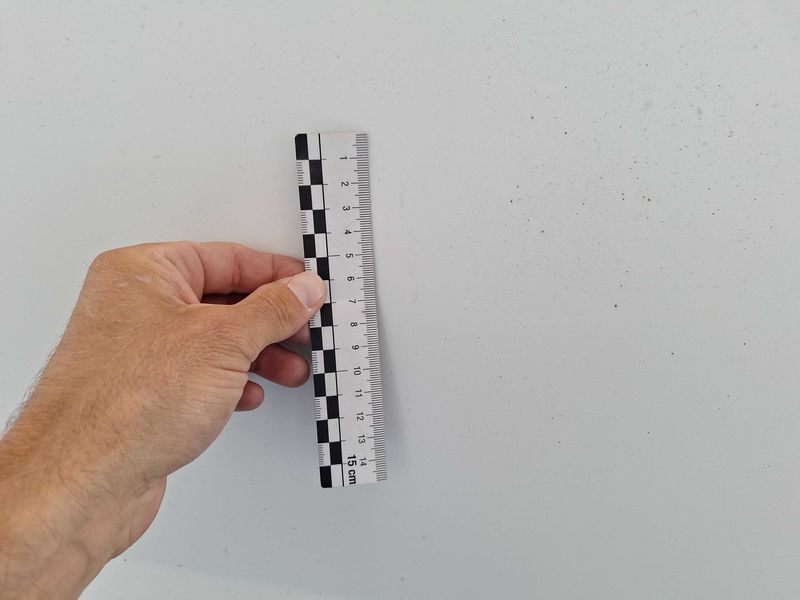 Fiat Doblo 1.6 JTDM SX Maxi Kasten 2014 – снимка на щета