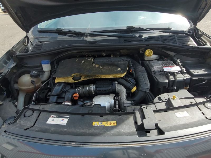 Citroen C4 Cactus 1.6 Blue-HDi Shine 2015 – снимка 32